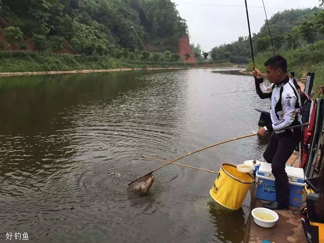 黑坑最新钓法，探索自然，寻找内心的平静